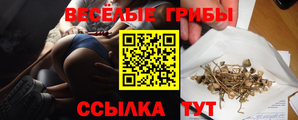 Псилоцибиновые грибы ЛСД  Вход с VPN  Северск 