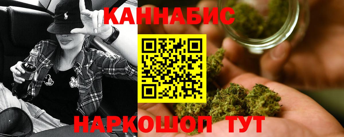Каннабис OG Kush Северск